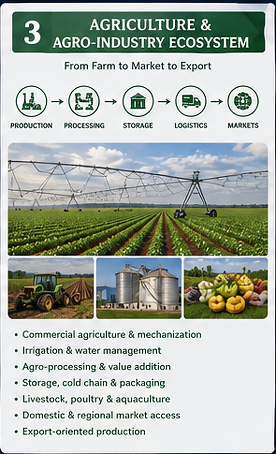 Agriculture & agro-industrie